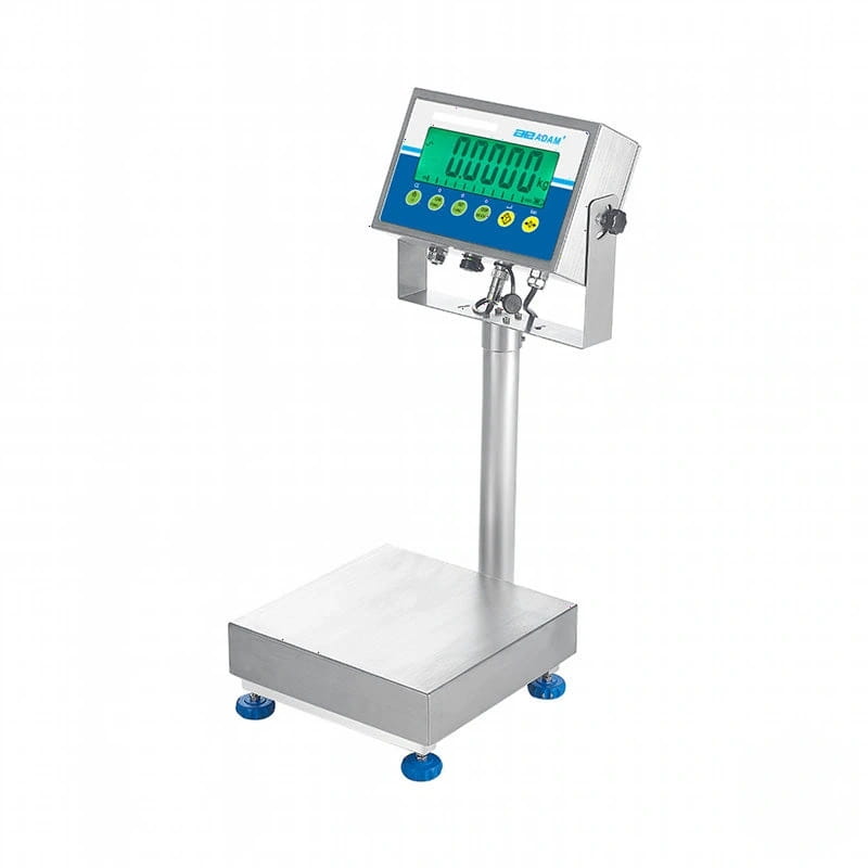 Industrial-grade stainless steel platform scale with a digital display featuring green and blue accents