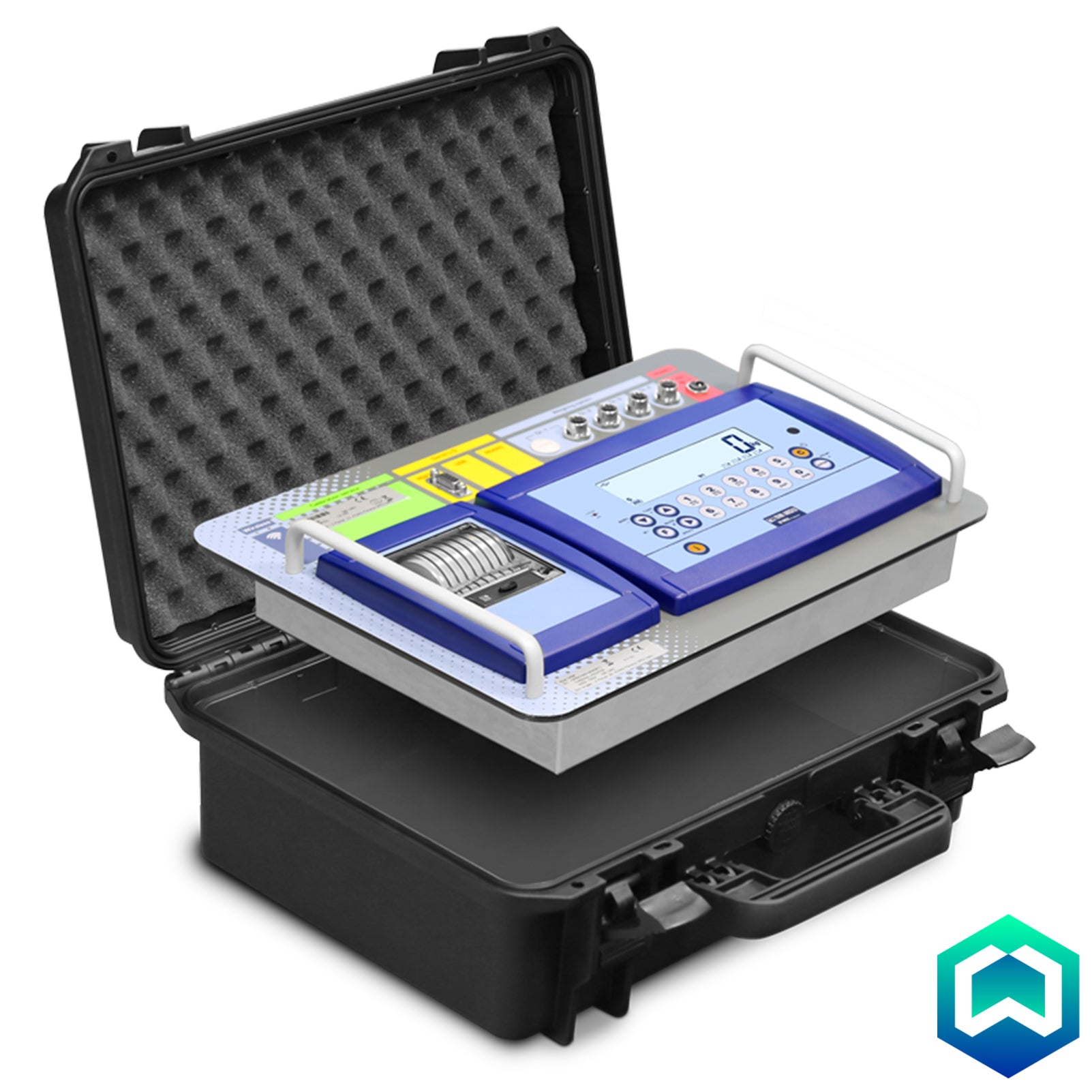 Dini Argeo DFWKRP Vehicle Weight Indicator - Case