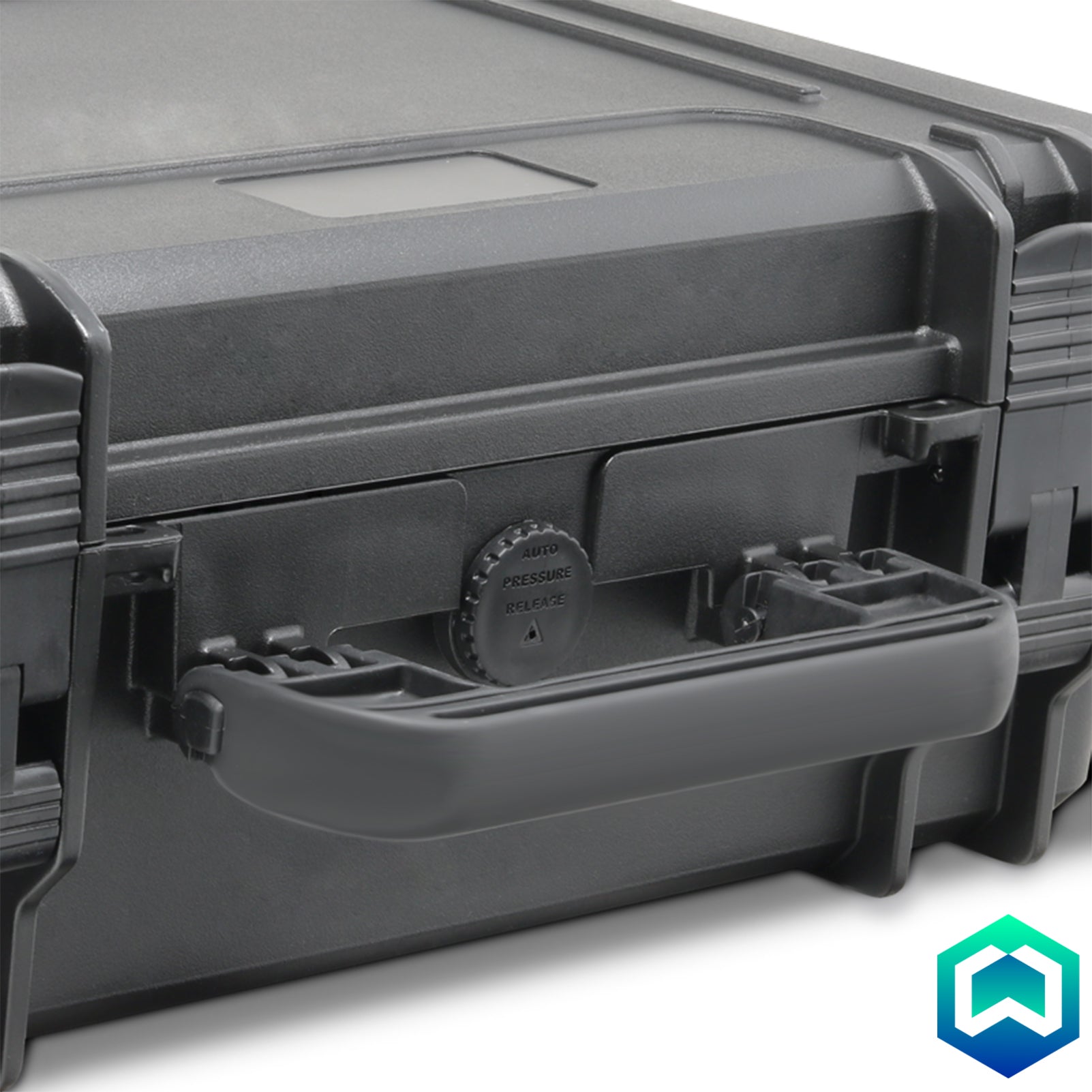 Dini Argeo DFWKRP Vehicle Weight Indicator - Case