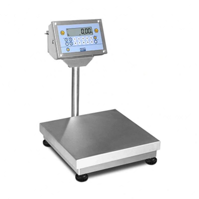 Stainless steel digital platform scale with a rectangular weighing surface and an upright display unit