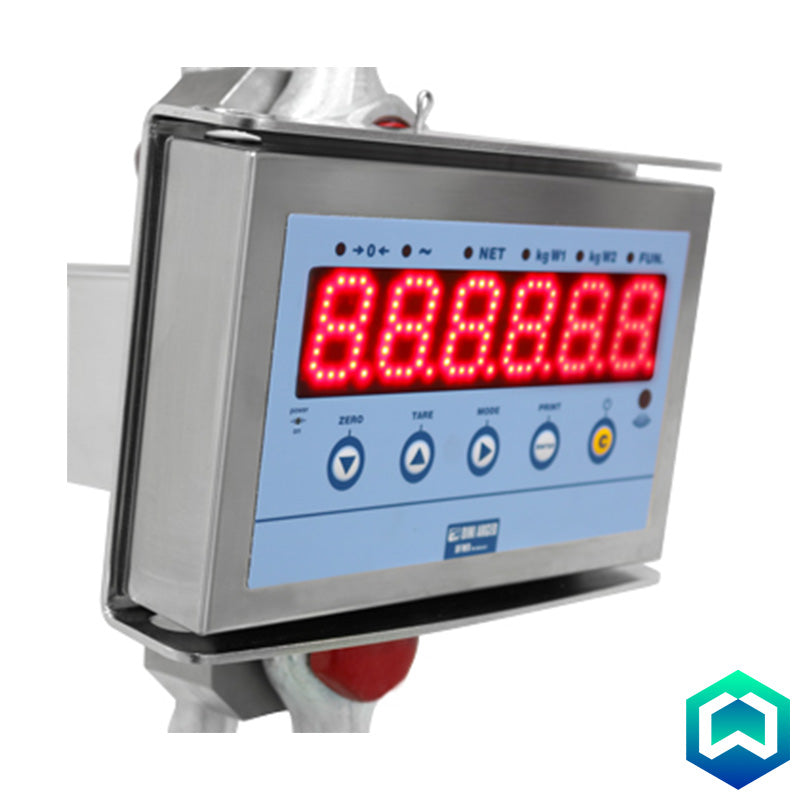 Dini Argeo MCW09 Crane Scale - Display