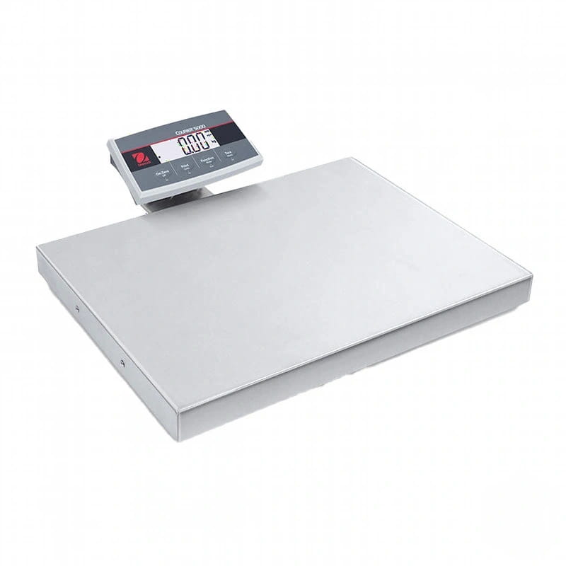 Silver digital platform scale with a rectangular weighing surface and an attached display unit showing ’0.00’’ on its screen