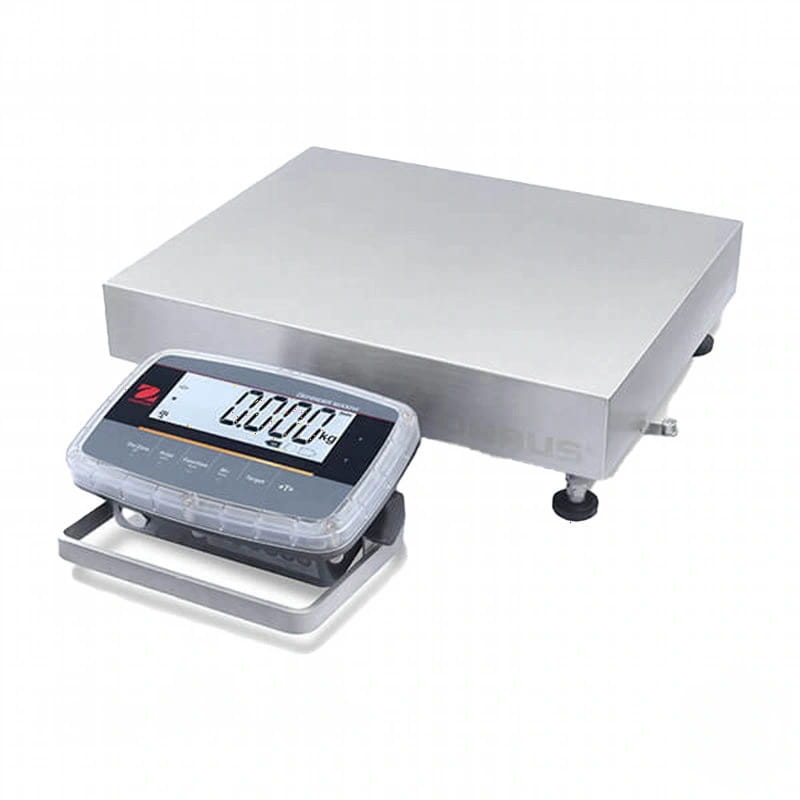 Industrial-grade stainless steel platform scale with a digital display and clear protective cover