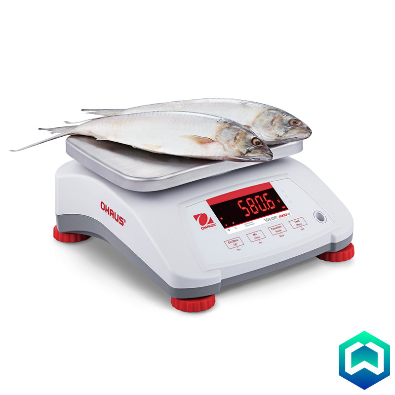 Ohaus - Valor 4000 Bench Scales - Action