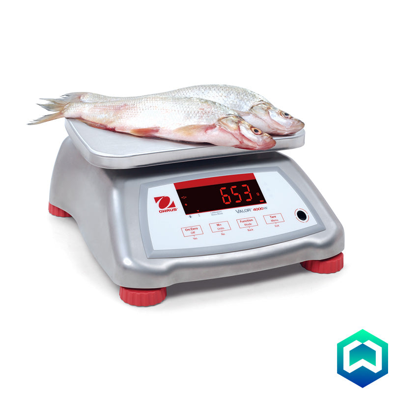 Ohaus - Valor 4000 Stainless Steel Bench Scales - Action