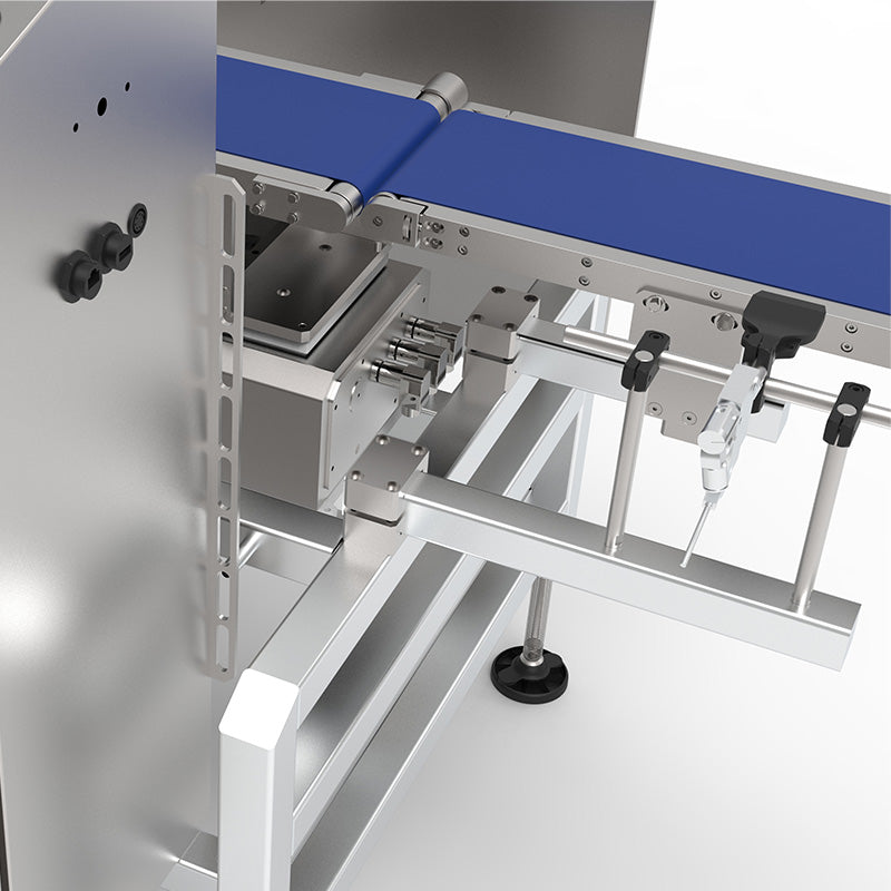 Radwag DWM Basic Checkweigher