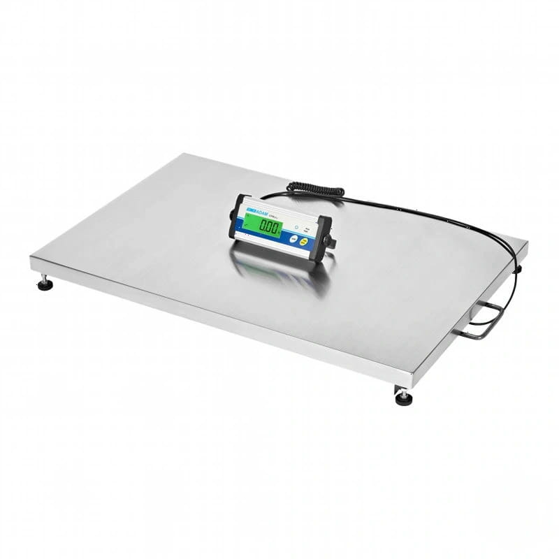 Industrial-grade stainless steel platform scale with a digital display featuring green and blue accents