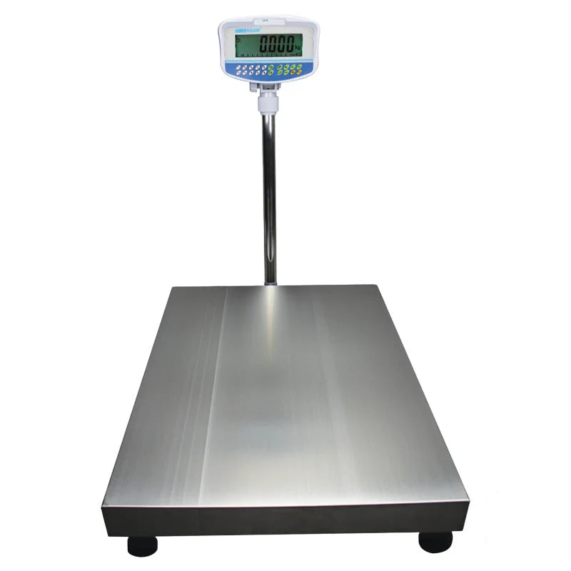 Industrial-grade stainless steel platform scale with a digital display and control panel