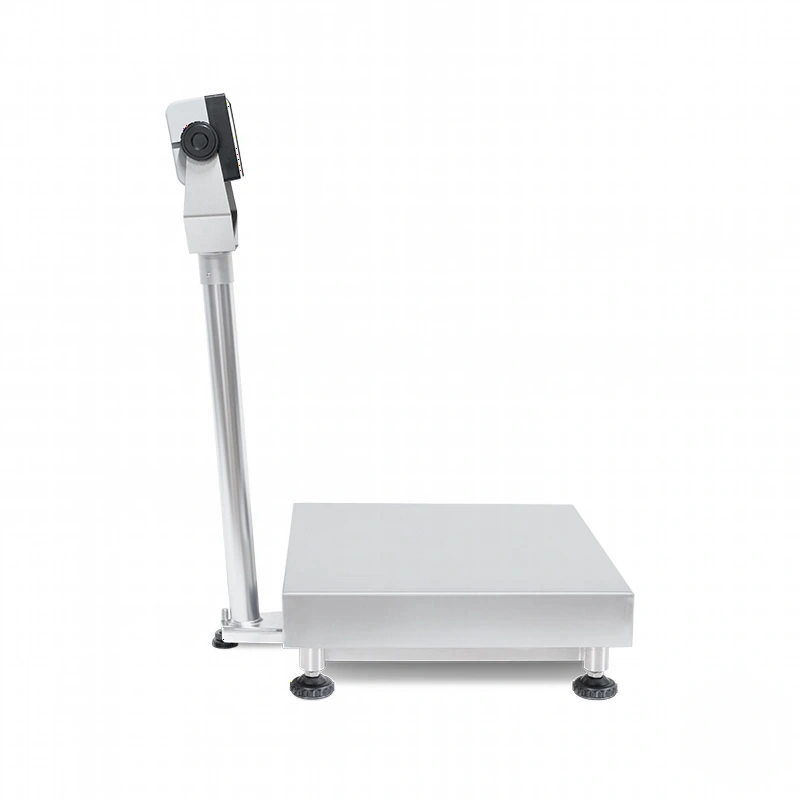 Silver industrial scale with a rectangular weighing platform and digital display mounted on an adjustable pole