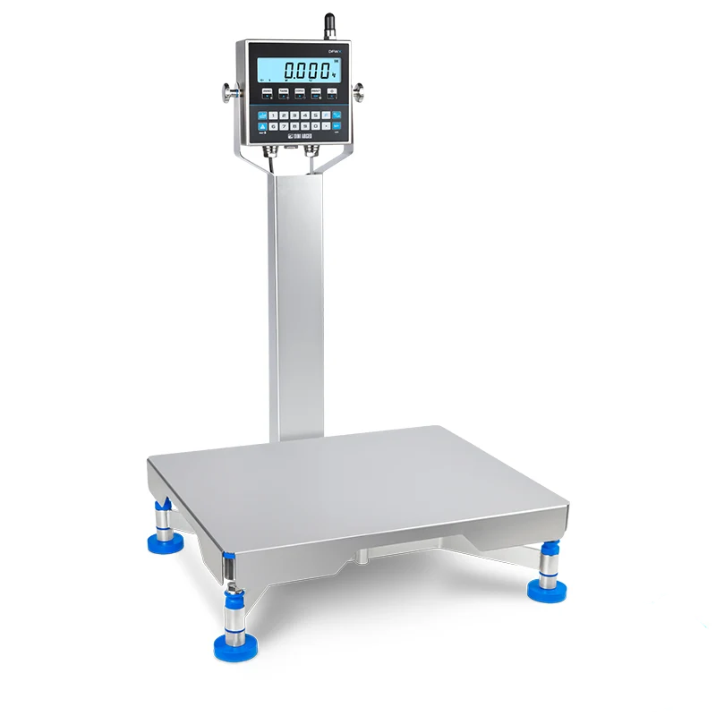 Industrial-grade stainless steel platform scale with a digital display and blue rubber feet