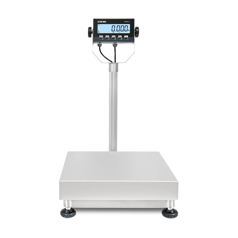 Silver digital platform scale with a rectangular weighing surface and black rubber feet